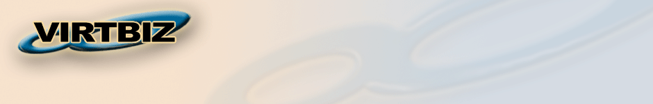 VIRTBIZ Internet Services